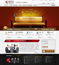 耐思尼克免費建站 深圳企業網站建設精選案例集